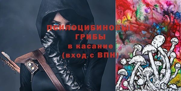 дживик Белоозёрский