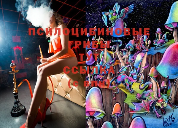 дживик Белоозёрский